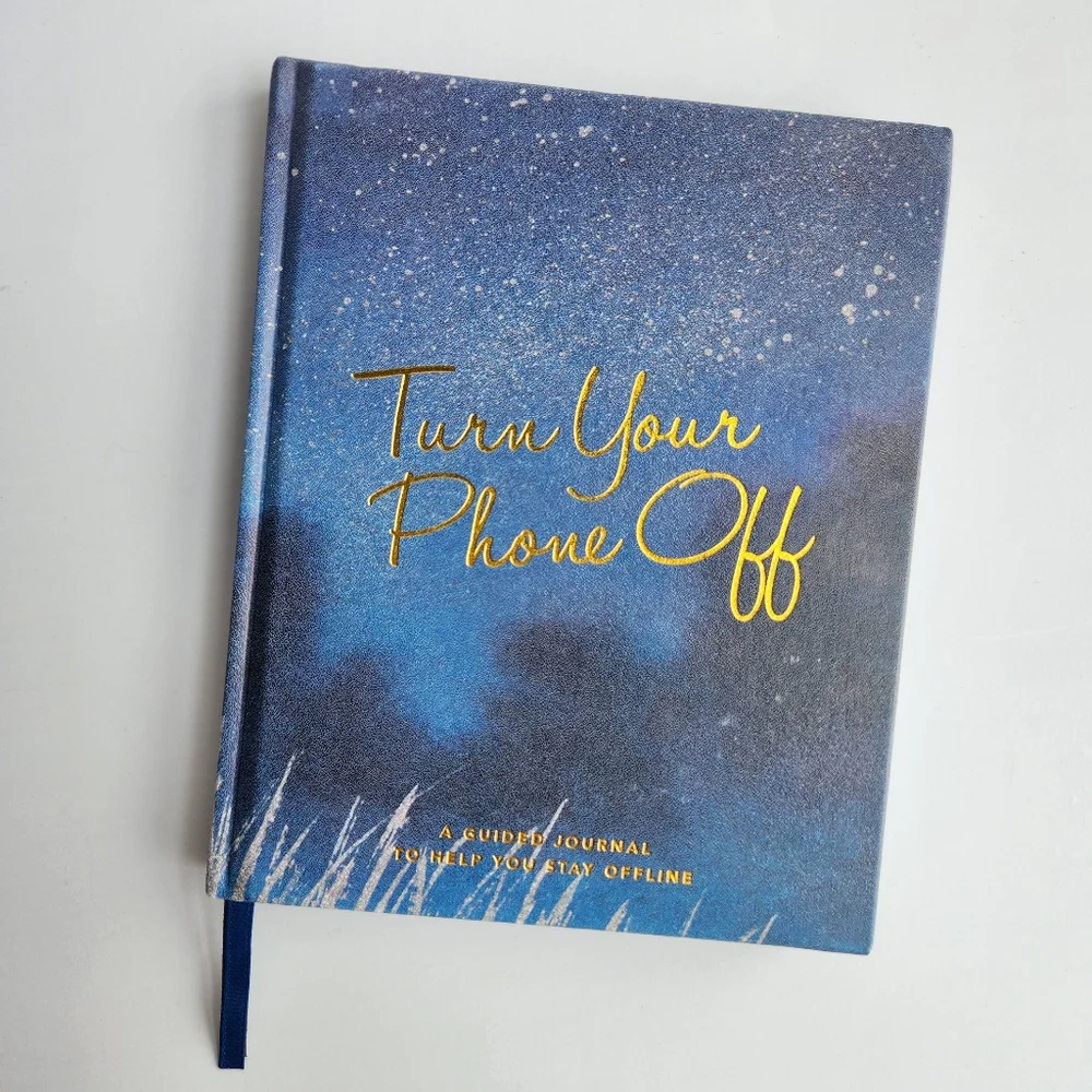 NWT Blue and Gold Guided Journal With 2 Bookmarks Morning/Evening Journal